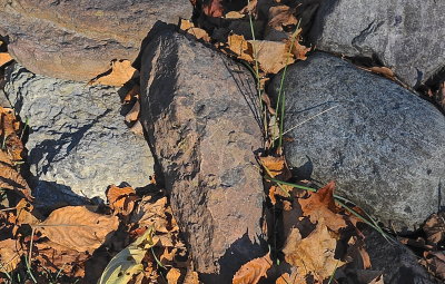 CORNWALL 2016-11-13 934 sev.JPG