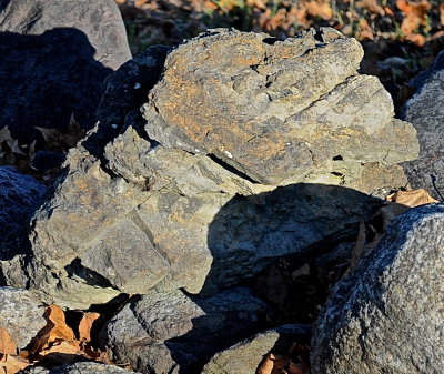 CORNWALL 2016-11-13 945.JPG