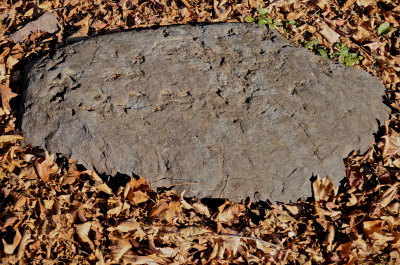CORNWALL 2016-11-13 1008.JPG