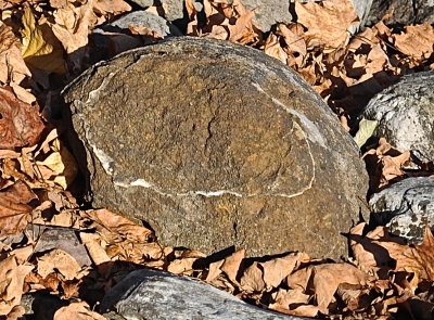CORNWALL 2016-11-13 1019.JPG