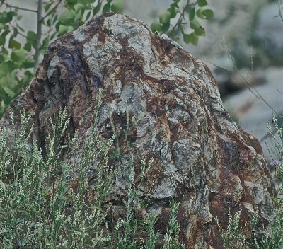 CARRARA 2015-8 325.JPG