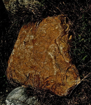 MIDD 8-1-2015 420.jpg