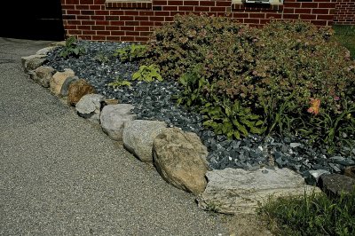 MUMS 2015-7-3 605flowerbed.jpg