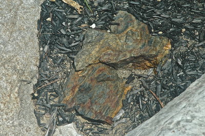 OVUHS 7-27-2015 347.JPG