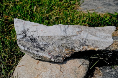 RIPTON 2015-8-2829118stnbldr.jpg