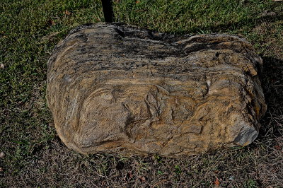 S BURL HS 2015-9-21 2194.JPG
