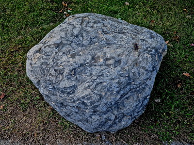S BURL HS 2015-9-21 2209.JPG