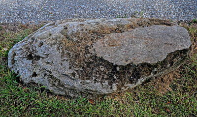 S BURL HS 2015-9-21 2230.JPG