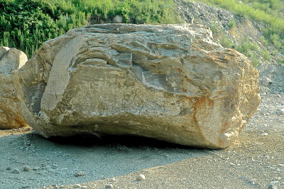 CARRARA 7-11-2015 427.JPG