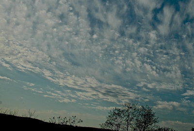 MIDD 2015-5 269b.jpg