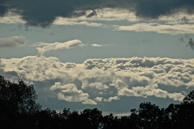 MIDDLEBURY 7-22-2015 451.JPG