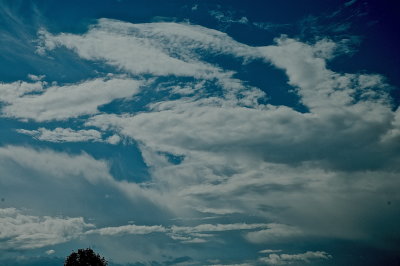 SALISBURY 2015-7-24 620.JPG