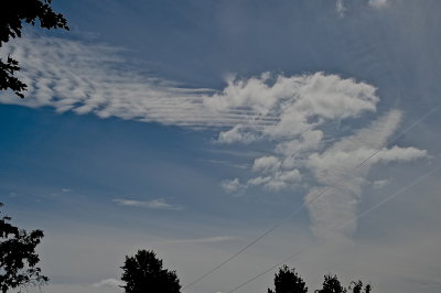 SHOREHAM 2015-9-22 63.JPG