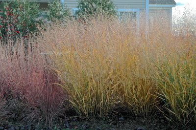 MIDD 2016-10-2131 59.JPG