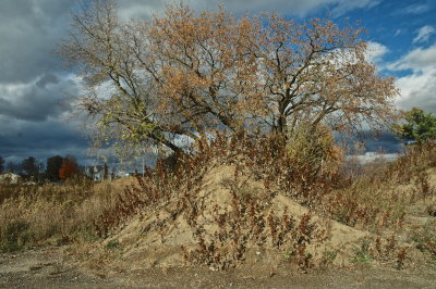 MIDD 2016-10-2131 95.JPG