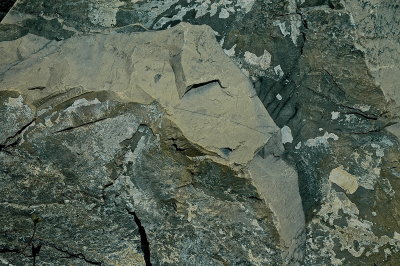 ADDISON CTY 2015-5-5 194 geol.JPG