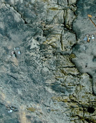 MIDD 2015-6 334_2abstract.jpg