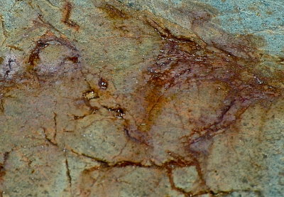 SHELBURNE 2015-7-13 333abstract.JPG