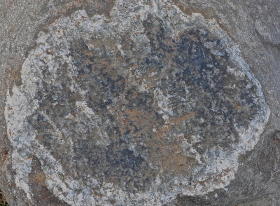 SHELBURNE 2015-9-21 89abstract.jpg