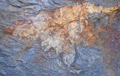 SHOREHAM 2016-11-1 655 abstract.JPG