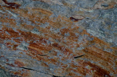 WILLISTON 2015-7-13 810abstract.JPG
