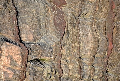 CORNWALL 2016-11-13 970 striation.JPG