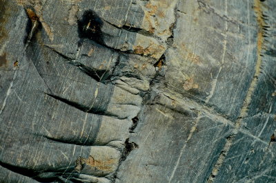 SHELBURNE 2015-7-13 399striation+.JPG