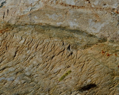 SHELBURNE 2015-9-21 184striation.jpg