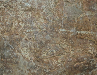 BRANDON 2015-8-1 214mosaic.JPG
