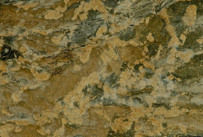 MIDD 2015-6 301mosaic.jpg