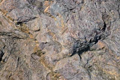 MIDD 2015-8-17 442mosaic.jpg