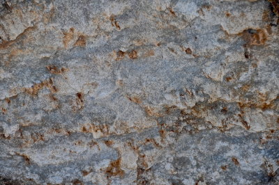 MIDD 2015-8-17 680mosaic.JPG