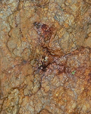 SALISBIURY 2015-7-11 351mosaic.jpg