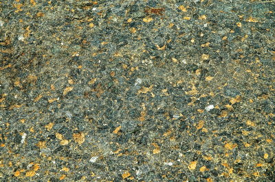 SHELBURNE 2015-7-13 201mosaic.jpg