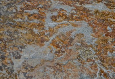 WILLISTON 2015-9-21 98 mosaic.jpg