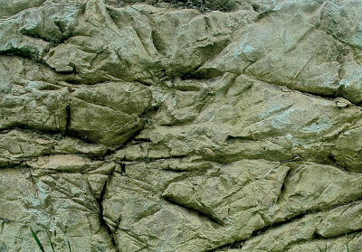BRANDON 2015-8-1 166shapes.jpg