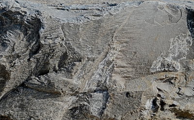 CARRARAS 2015-8-2829 192shapes.jpg