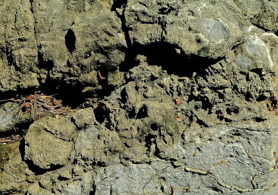 E MIDD 2015-7-8 401shapes.jpg