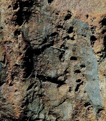 MIDDLEBURY 2015-6-4 175 geol.jpg