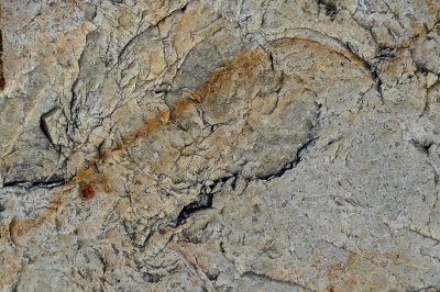 MIDDLEBURY 2015-9-16 1809 geol.JPG