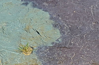 CASTLETON 2015-8-4 163geol+.jpg