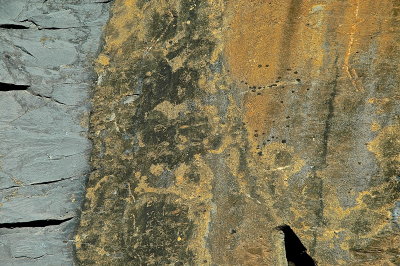 MIDD 2015-4-15 022geol+.jpg
