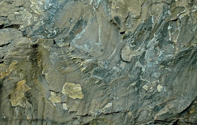 MIDD 2015-5 189geol.jpg