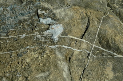 MIDD 2015-6 247geol.JPG