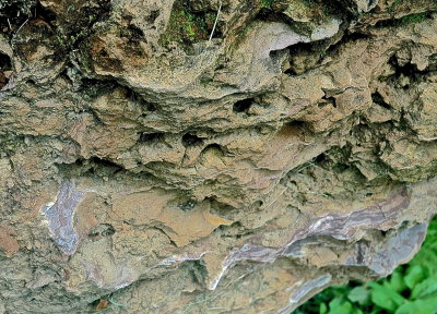 MIDD 2015-7-5 231geol+.jpg