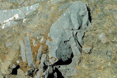 MIDD COLLEGE 7-18-2015 242 geol.JPG