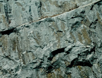 OVUHS 2015-7-27 553geol+.JPG
