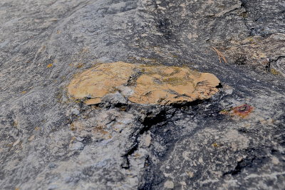RIPTON 2015-8-2829 085geol.jpg