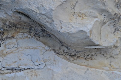 S BURL HS 2015-9-21 52geol.JPG