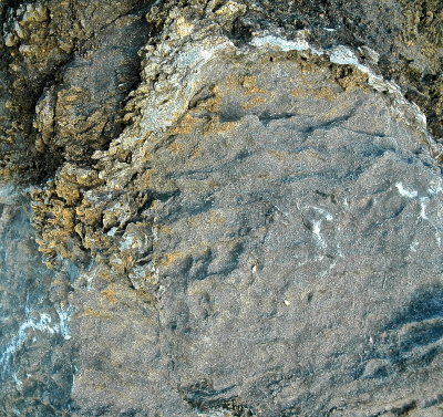 SALISBURY 2015-5 220geol.jpg